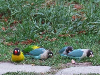 Прикрепленное изображение: 03.jpg